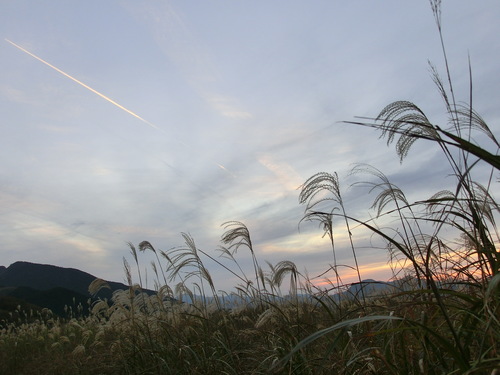 c0171468_2359383.jpg
