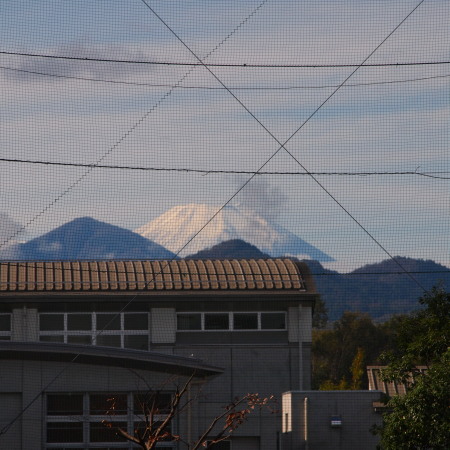 c0122670_10574672.jpg