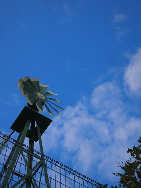 c0122670_224536.jpg