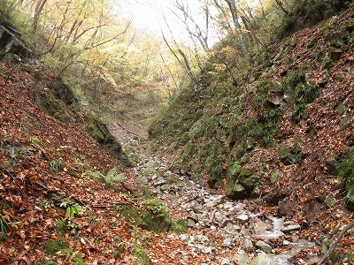 f0057070_20315017.jpg