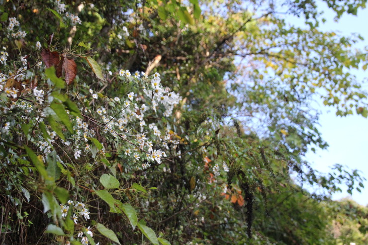 e0024081_20562535.jpg