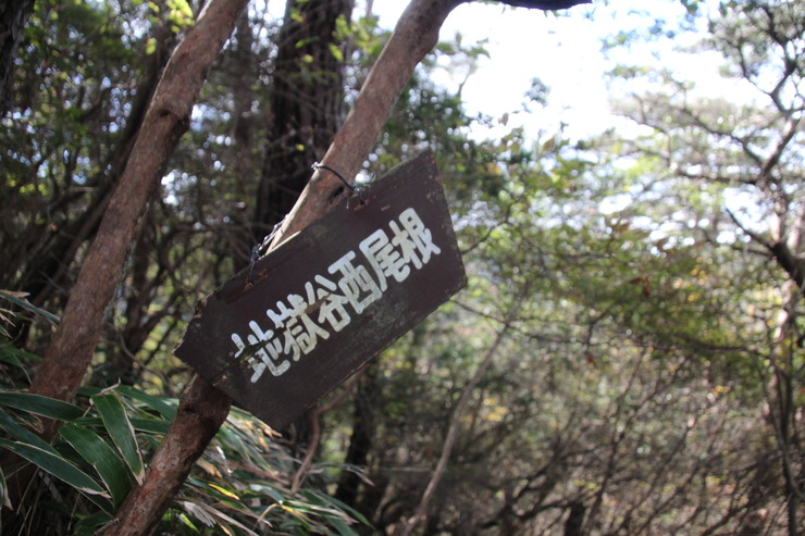 e0024081_21103287.jpg