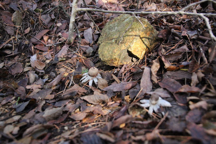 e0024081_21114421.jpg