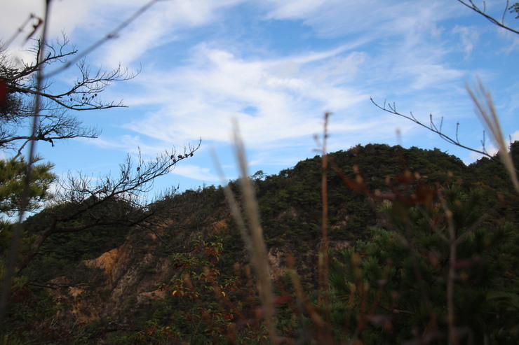 e0024081_21125295.jpg