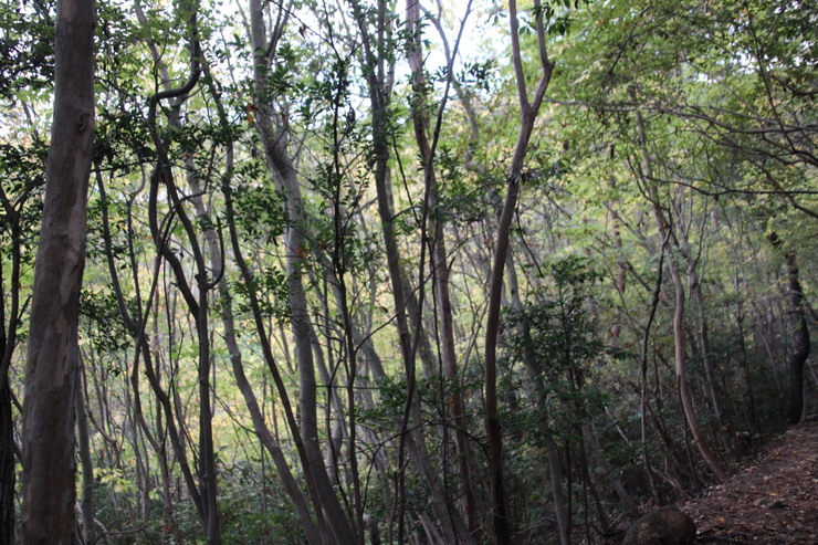 e0024081_21131345.jpg