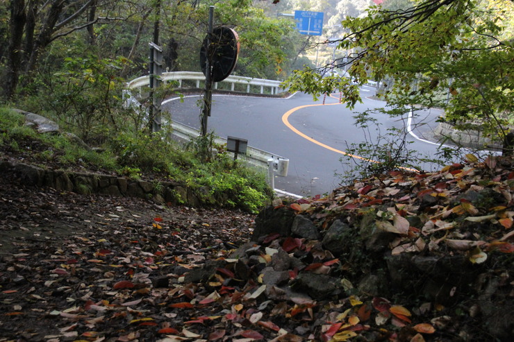 e0024081_2151435.jpg