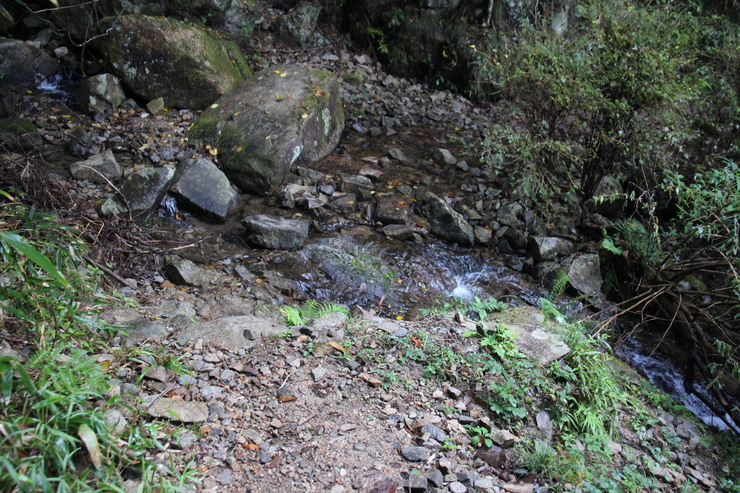 e0024081_2155285.jpg