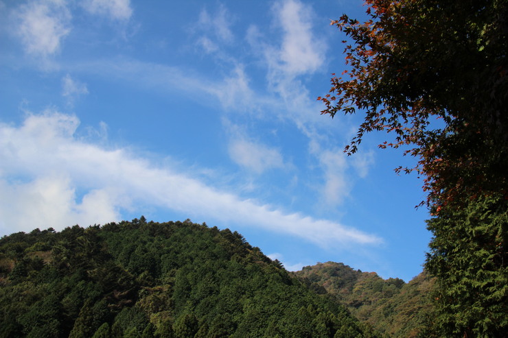 e0024081_2161216.jpg
