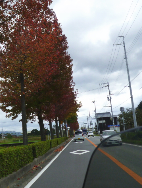 d0179983_21482155.jpg