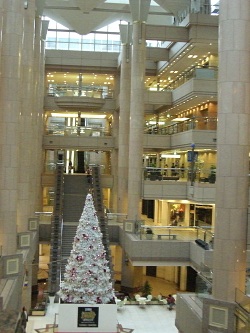 b0128589_15448.jpg