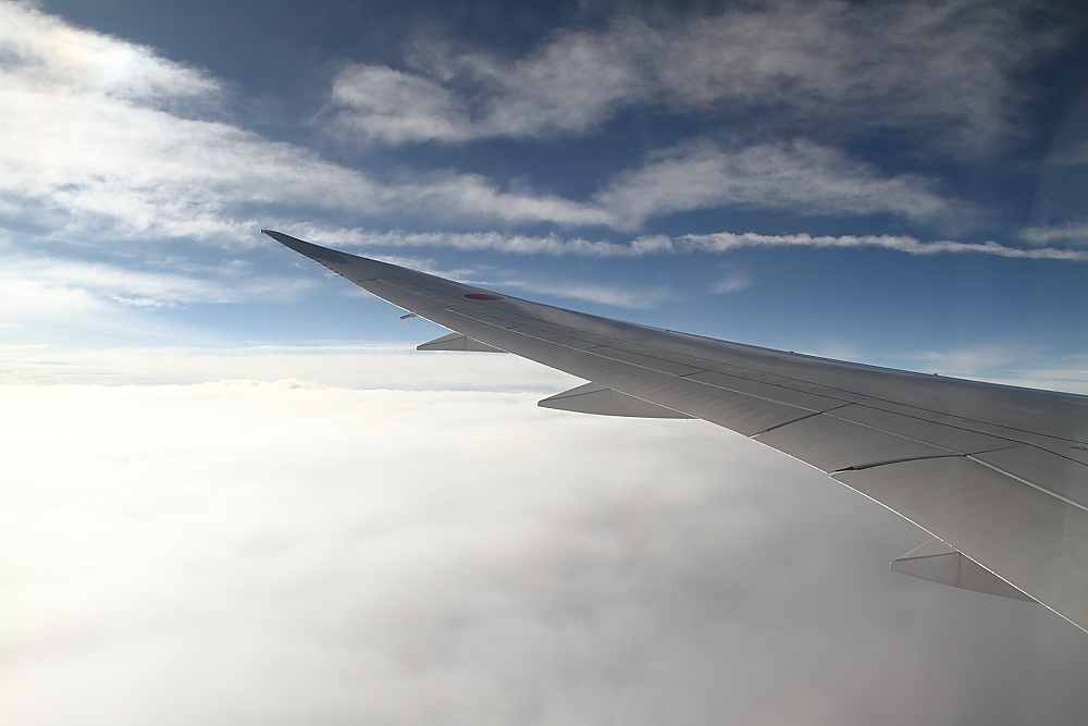 e0204891_1448793.jpg