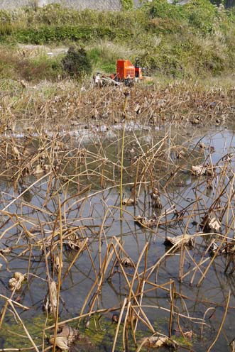 f0222692_16283329.jpg
