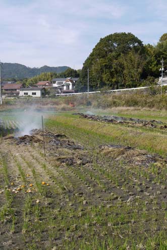 f0222692_1629051.jpg