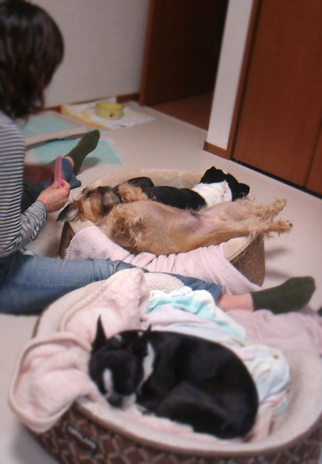 c0094999_3505969.jpg