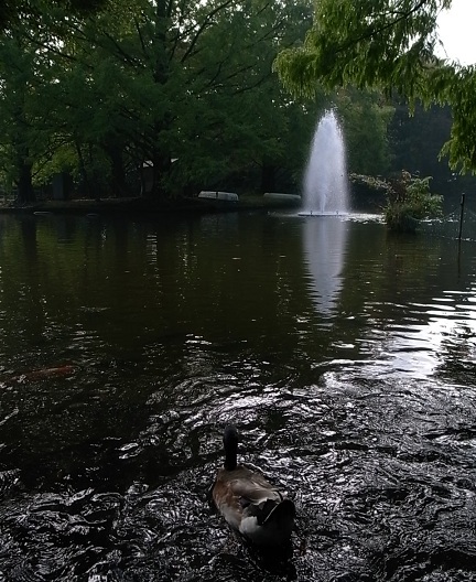 e0043700_205562.jpg