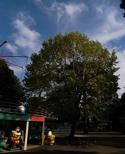 e0043700_20574061.jpg