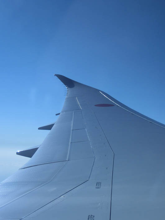 e0064400_2223459.jpg