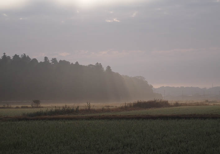 e0064400_22514768.jpg