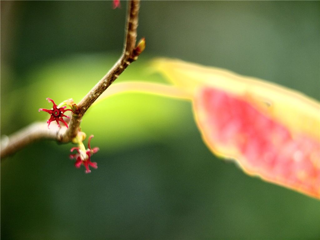 f0224100_1016559.jpg