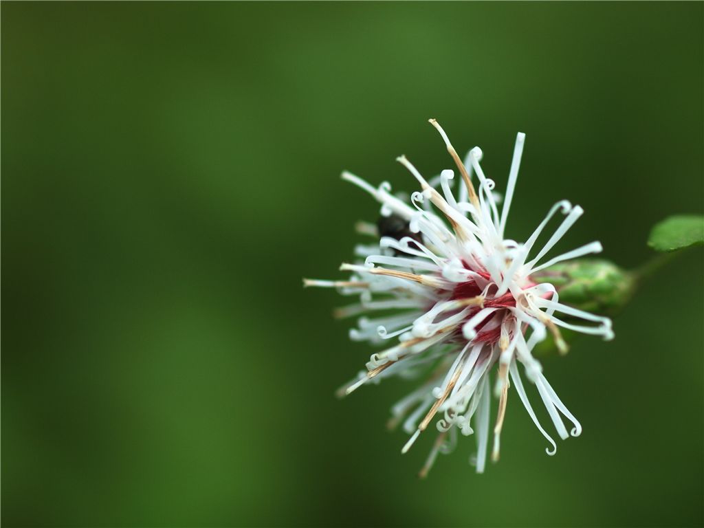 f0224100_10351181.jpg