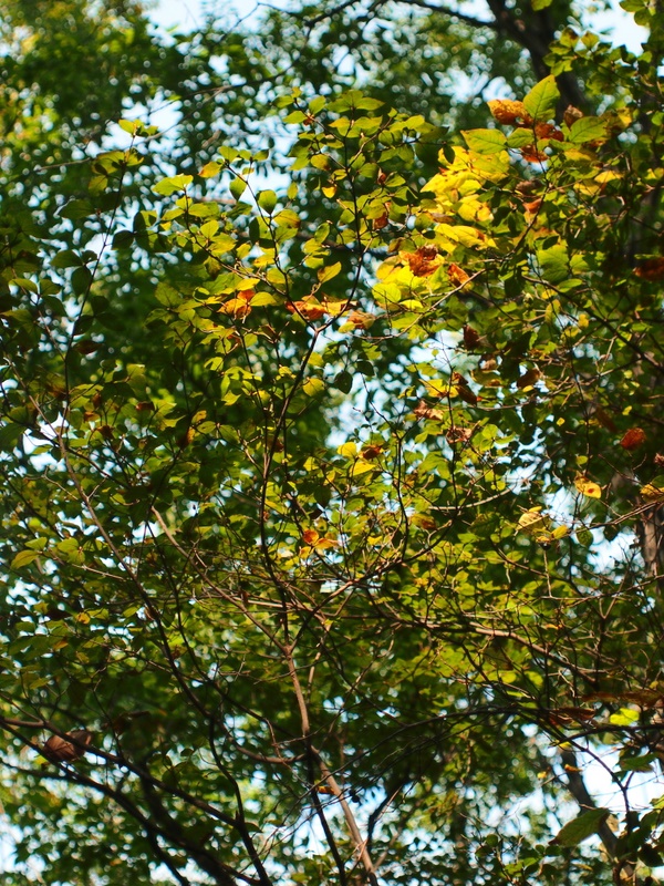 b0138101_18153083.jpg
