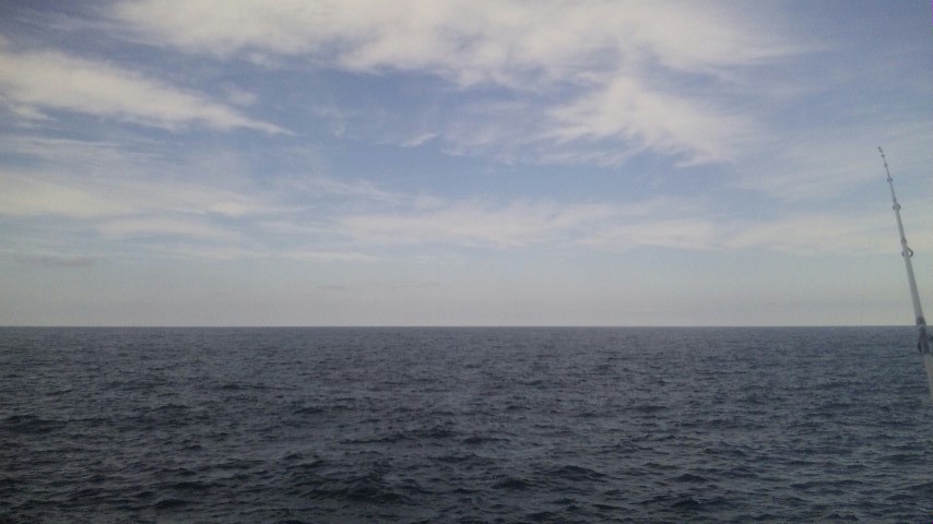 f0035404_20232255.jpg