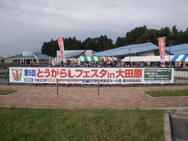 a0116205_129973.jpg