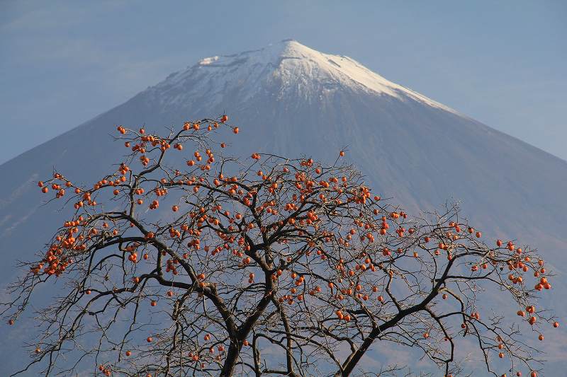 a0188405_2123480.jpg