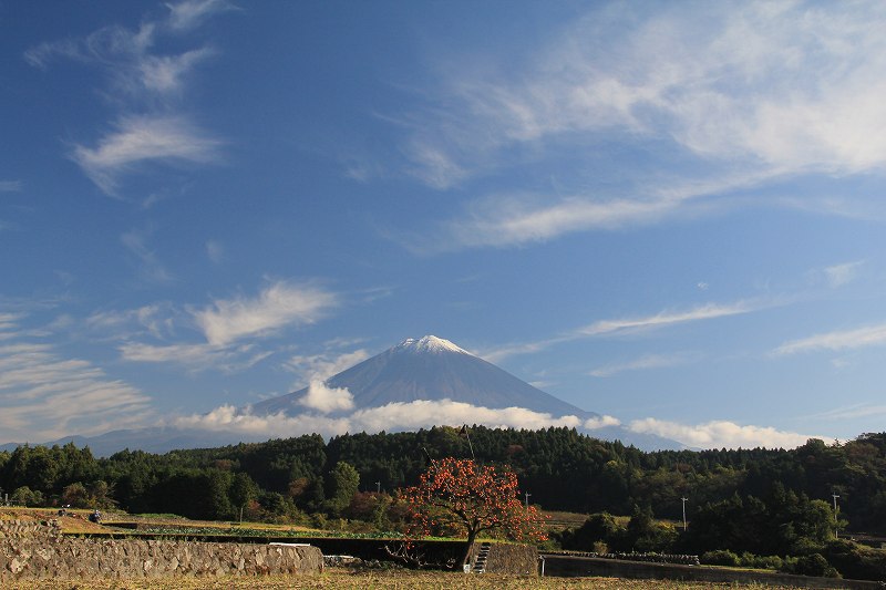 a0188405_21255738.jpg