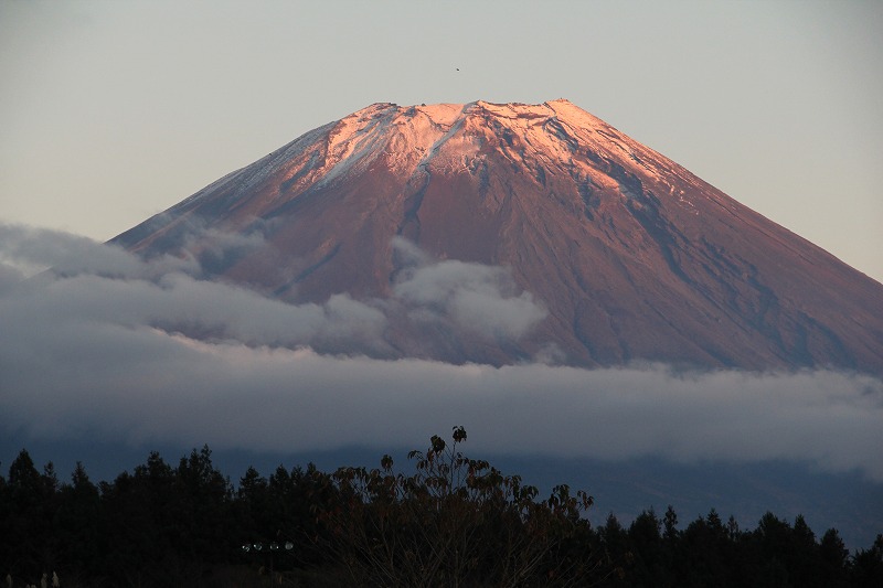a0188405_2141262.jpg