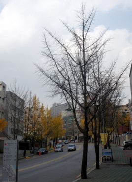 c0148705_8531644.jpg