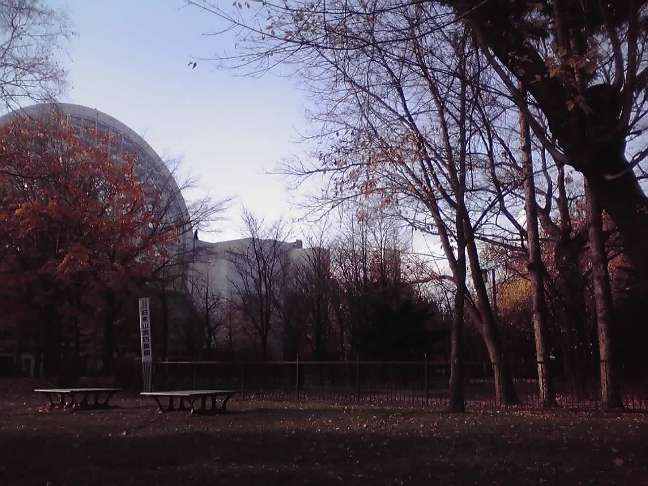 f0180807_1562891.jpg
