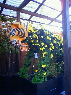 a0228408_15355186.jpg