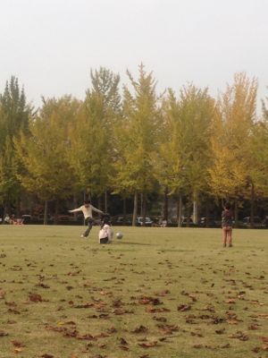 a0159009_1235034.jpg