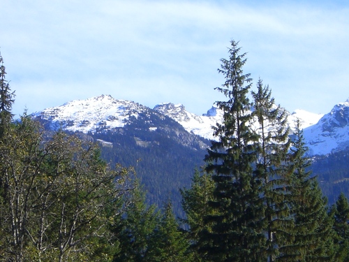 e0167411_8241122.jpg