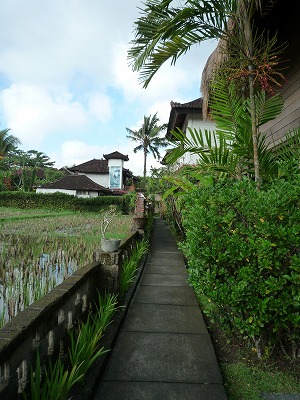 d0224712_12385747.jpg