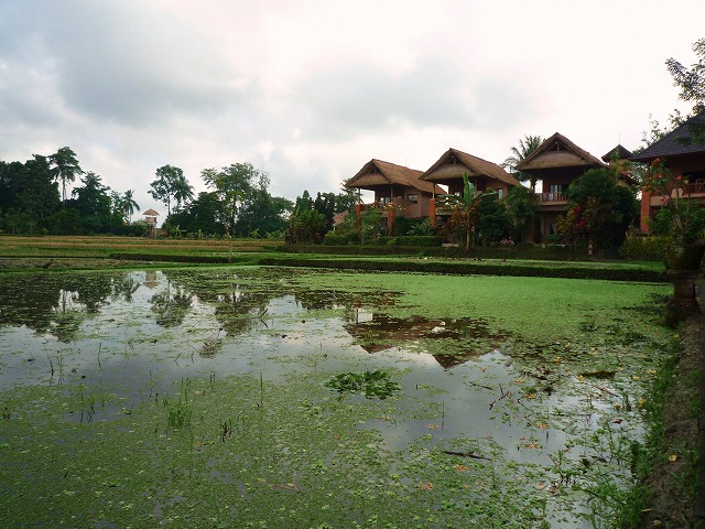 d0224712_14544328.jpg