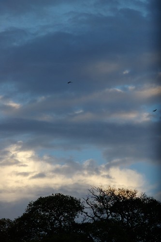 e0002817_1735326.jpg