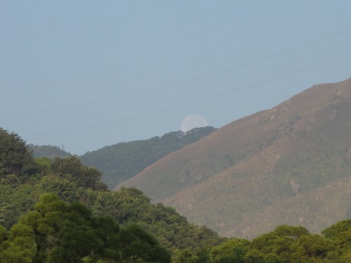 b0080418_10411797.jpg