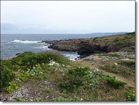 c0042418_97274.jpg