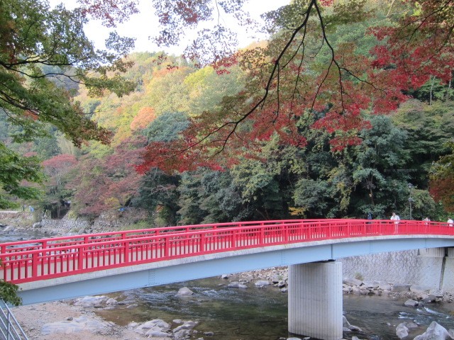 c0225420_11335425.jpg