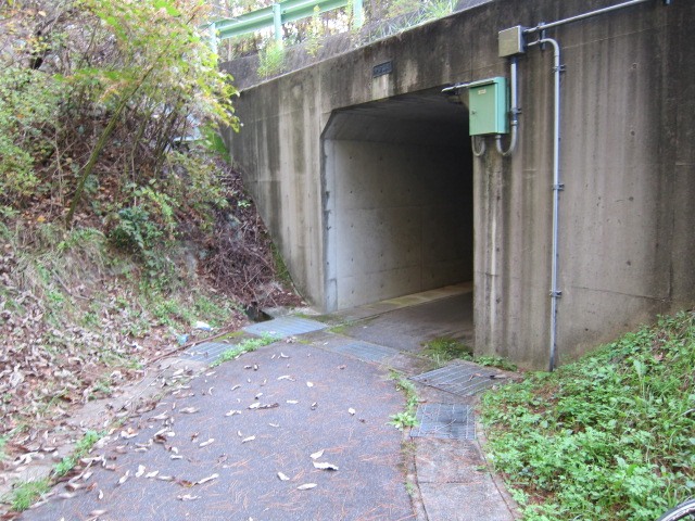 c0225420_11414176.jpg