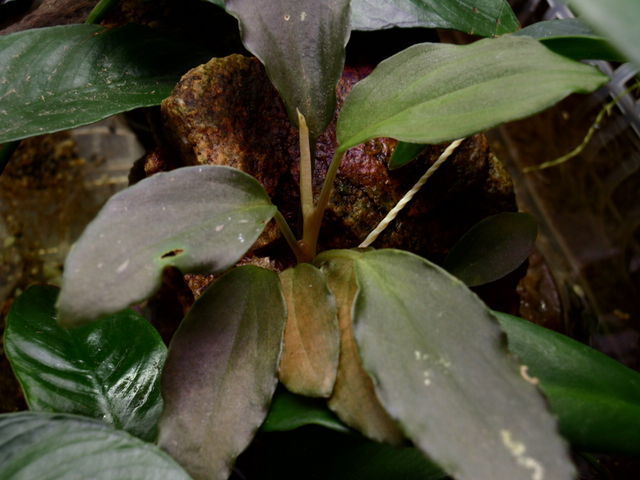 d0187020_21372148.jpg