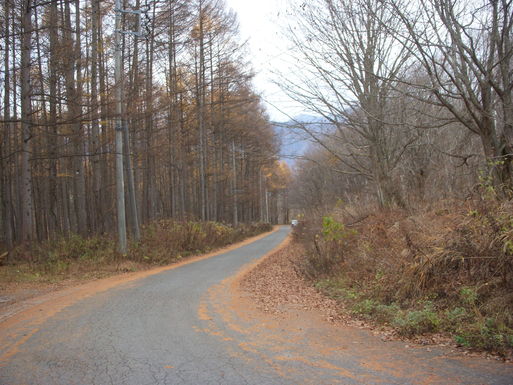 e0109622_17301694.jpg