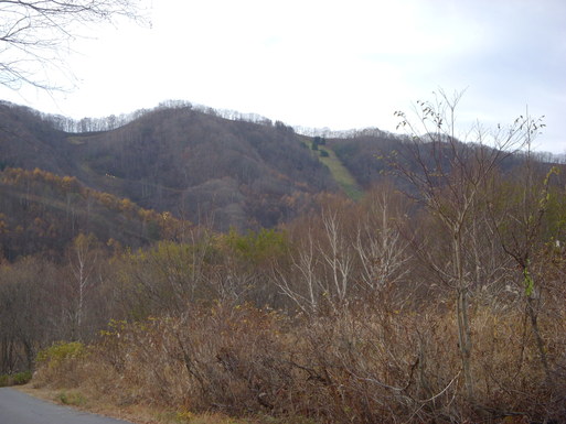 e0109622_17374513.jpg
