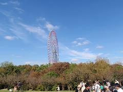 f0022024_2223552.jpg