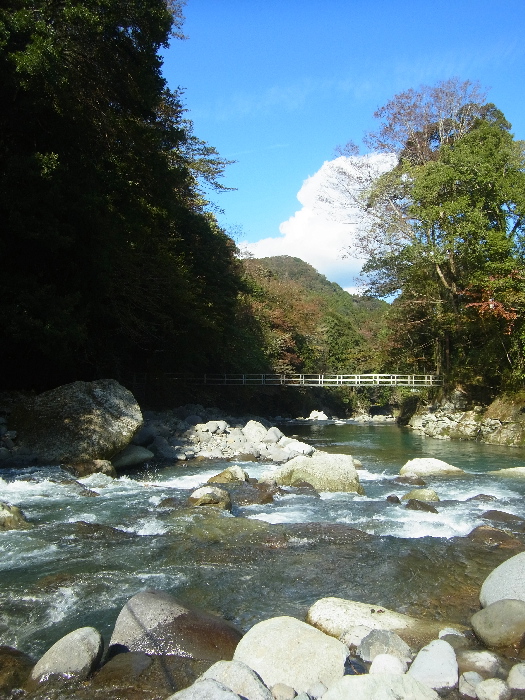 f0103126_1844176.jpg