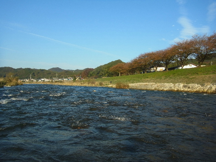 f0103126_1845034.jpg