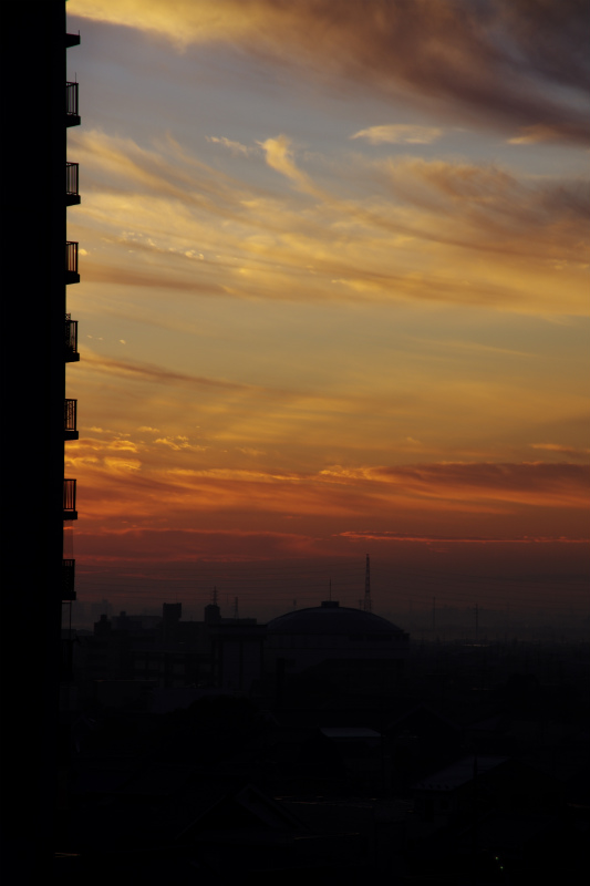 d0250028_5224643.jpg
