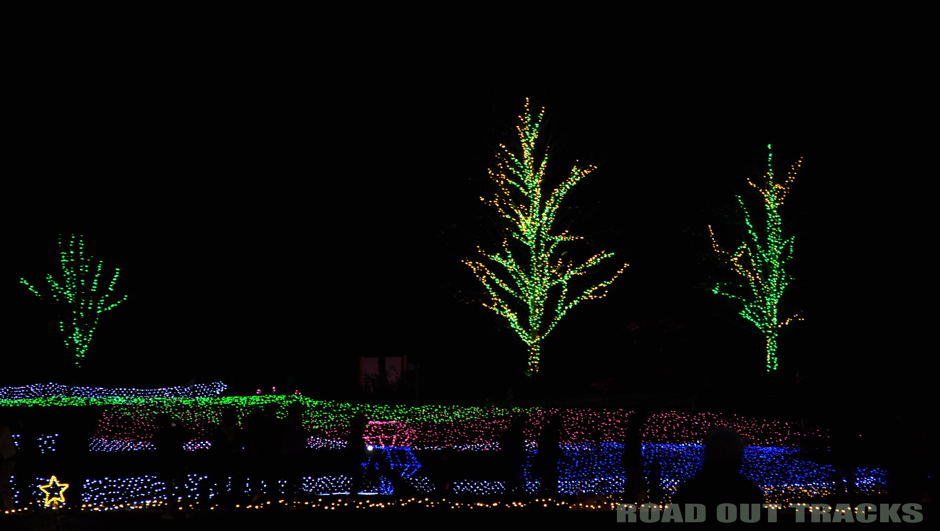 a0194929_2148649.jpg